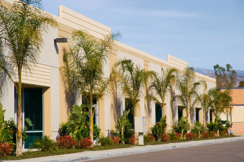 Commercial-Landscape-Companies-Palm-Beach-FL