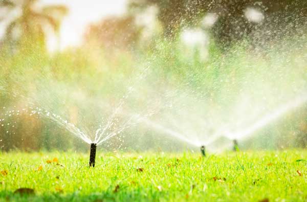 Automatic-Sprinkler-System-Wellington-FL
