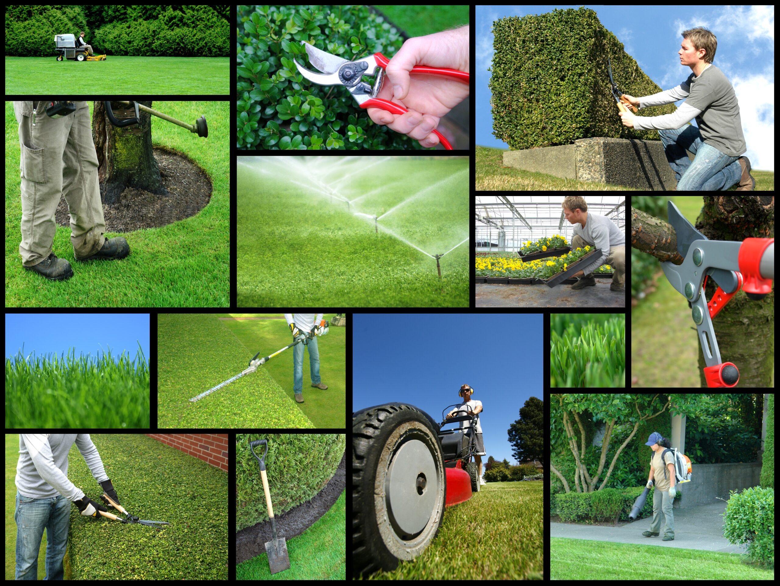 Commercial Landscaping -Seattle-WA