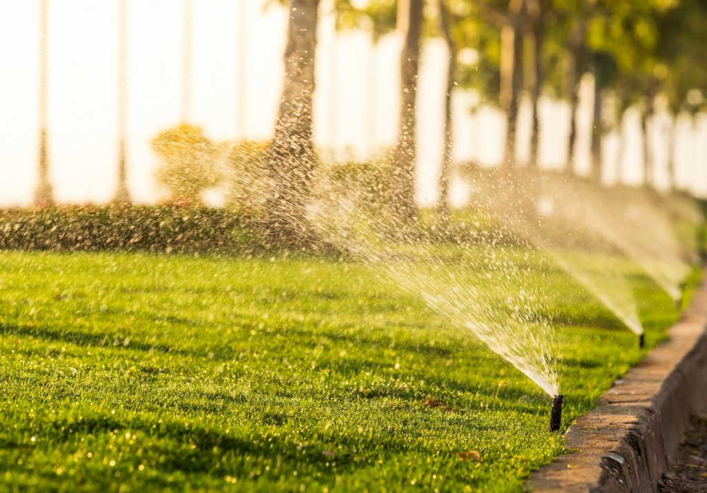 Renton Residential Sprinkler System